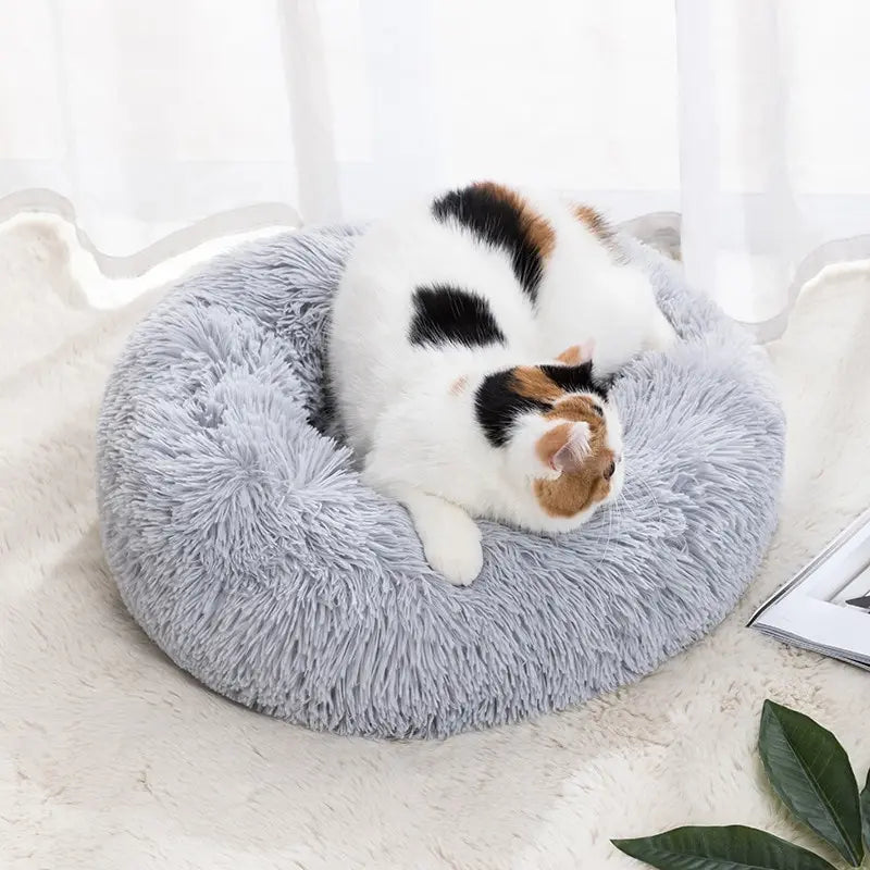 Cat-Nest-Round-Soft-Shaggy-Mat-Indoor-Dog-Cat-Bed-Pet-Supplies-Removable-Machine-Washable-Pillow_37eaec19-113b-4c92-b021-7e7318fc2a6d.webp
